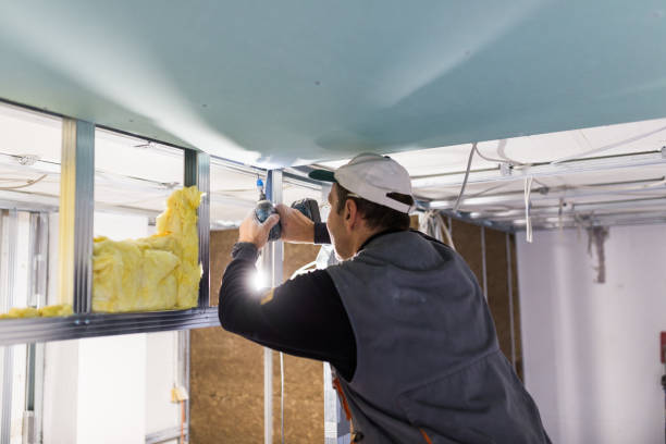 Professional Insulation Contractor in WI