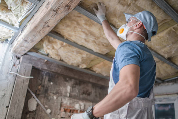 Best Insulation Maintenance and Repair in North Hudson, WI